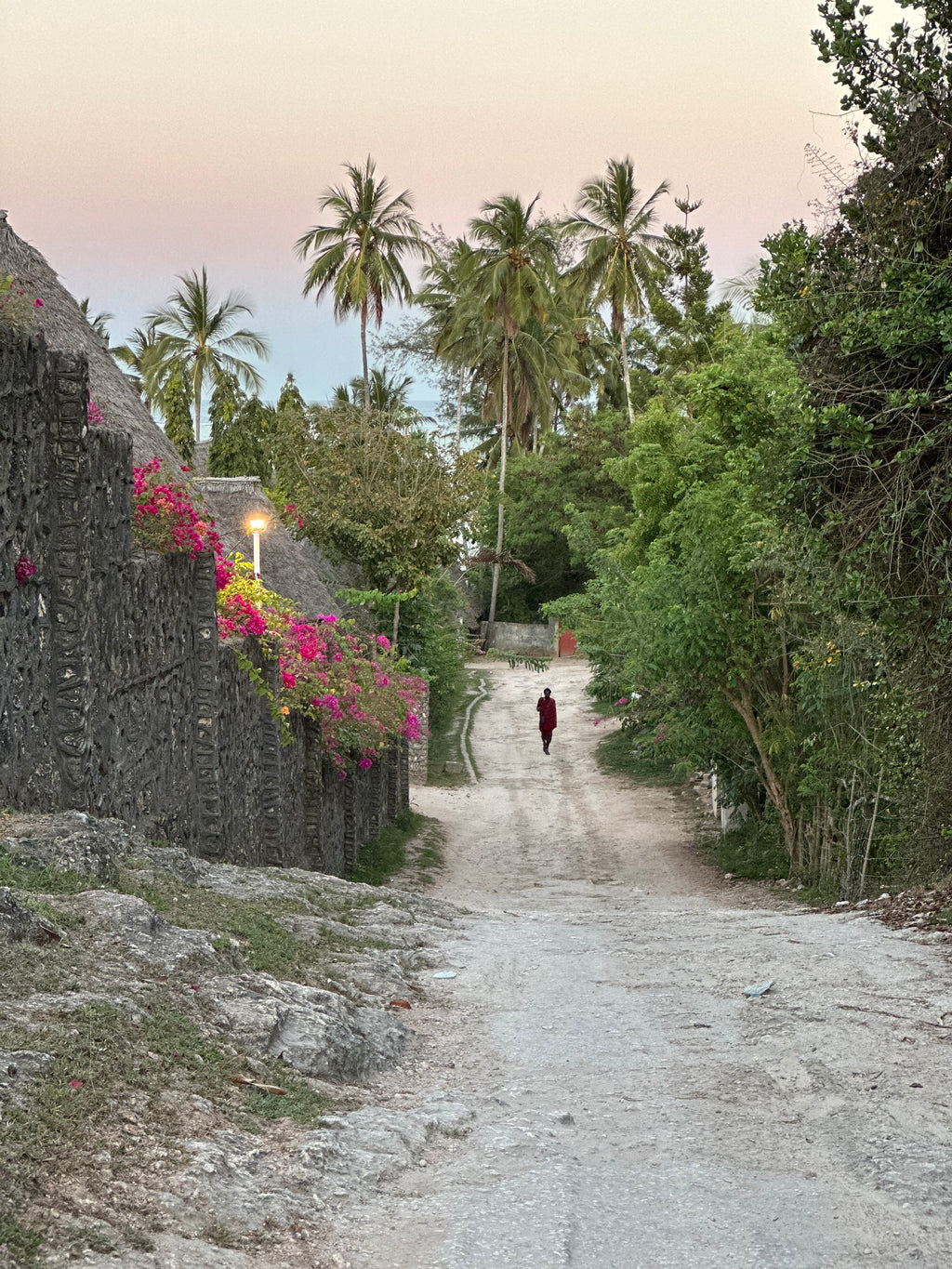 Tropical Stillness