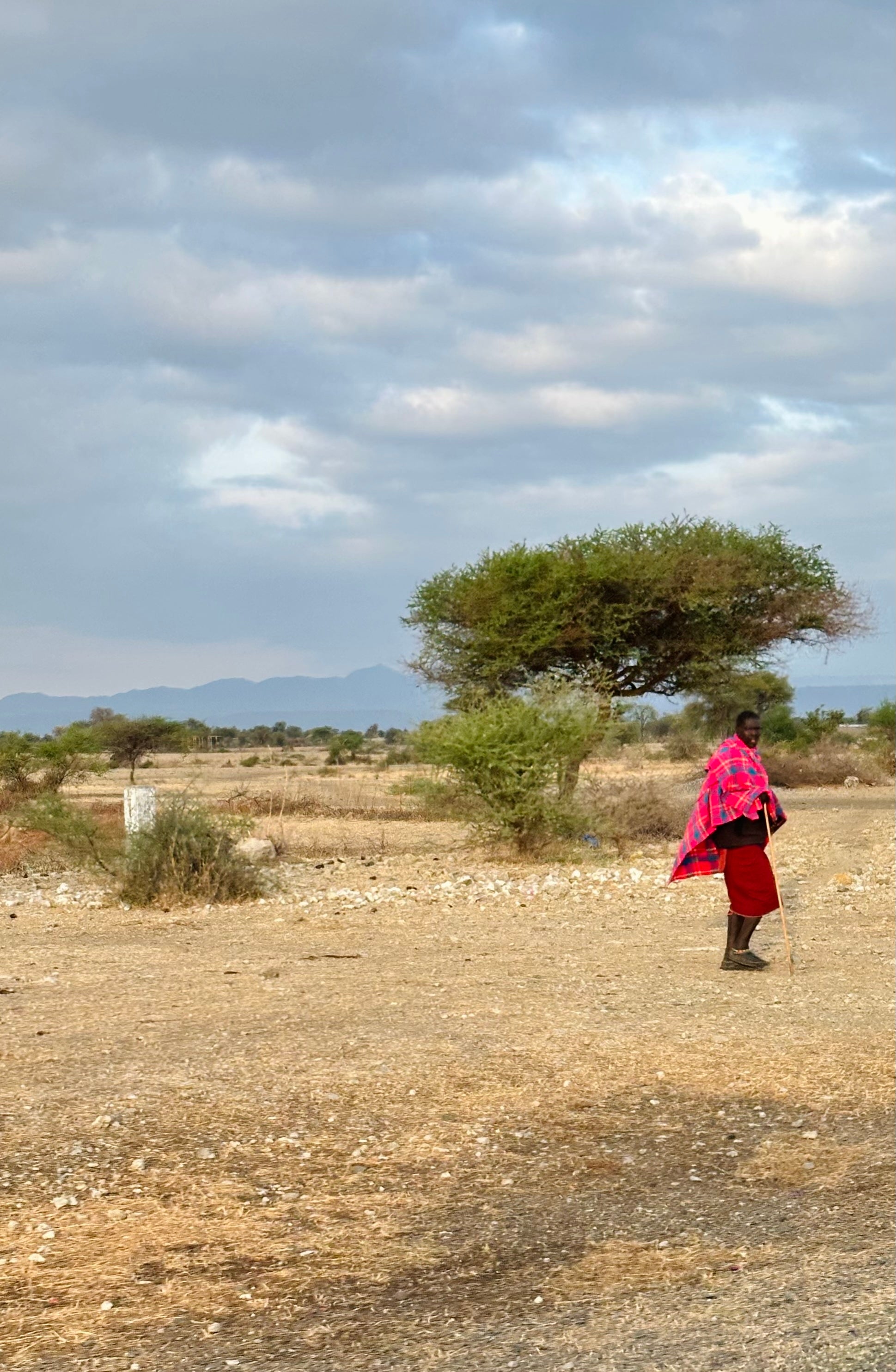 A Maasai Herdsman