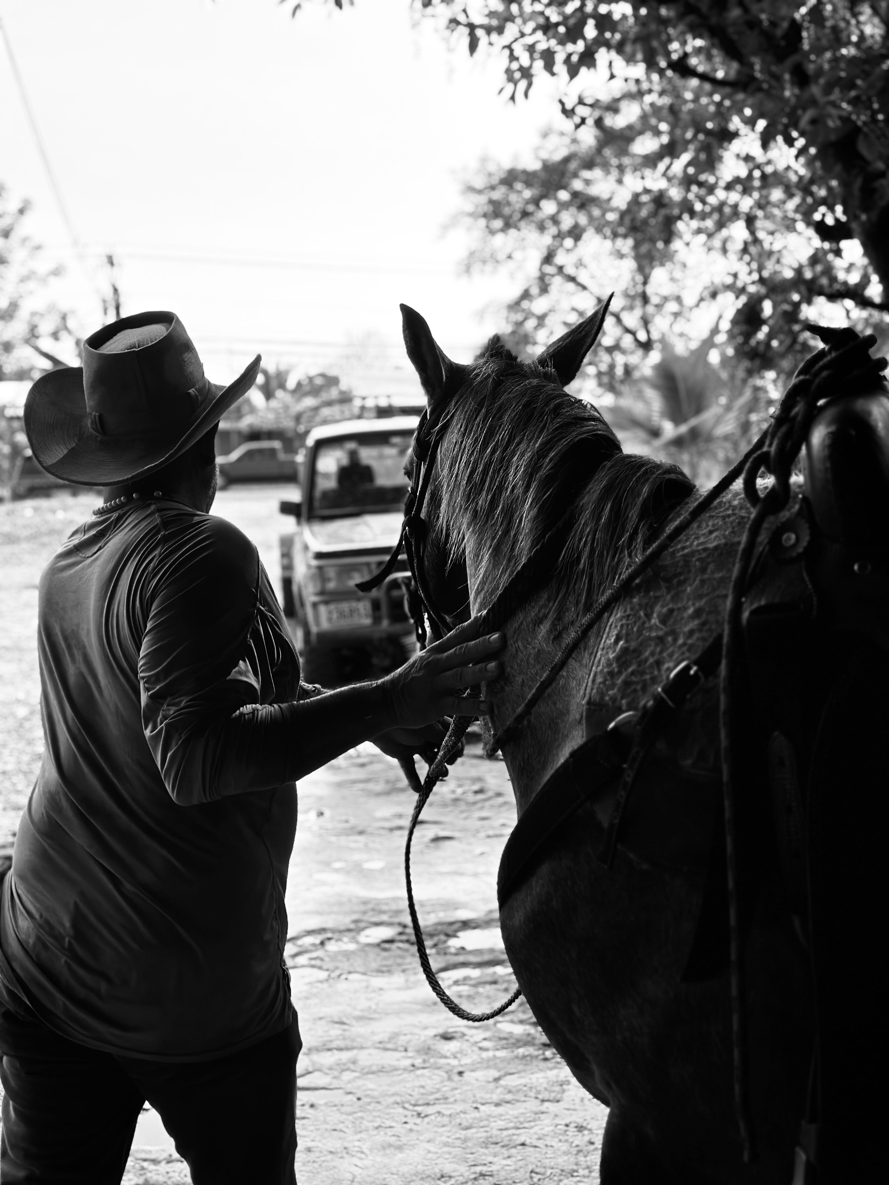 The Costarricense de Paso